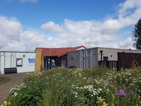 RSPB Belfast's Window on Wildlife