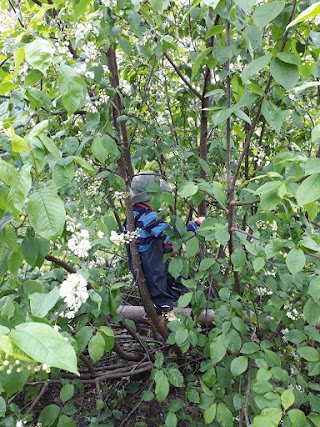 Derby Forest School