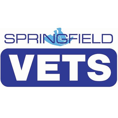 Springfield Veterinary Group - Gleadless