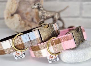 Top Dog Collars & Accessories