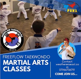 Freeflow Taekwondo - Martial Arts