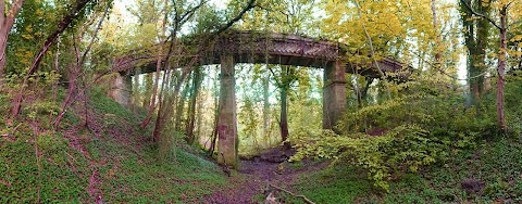 Cadzow Glen Gates