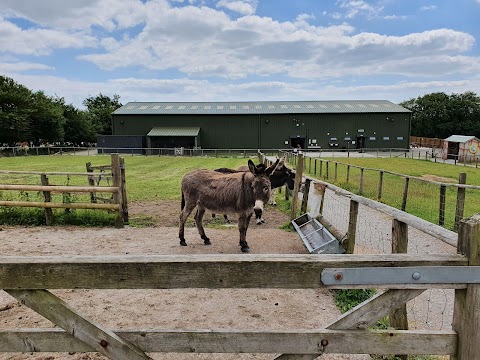 Wiggleys Fun Farm