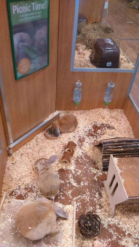 Pets at Home Cardiff Newport Rd