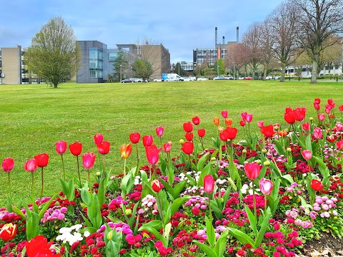 University of Ulster Jordanstown Campus