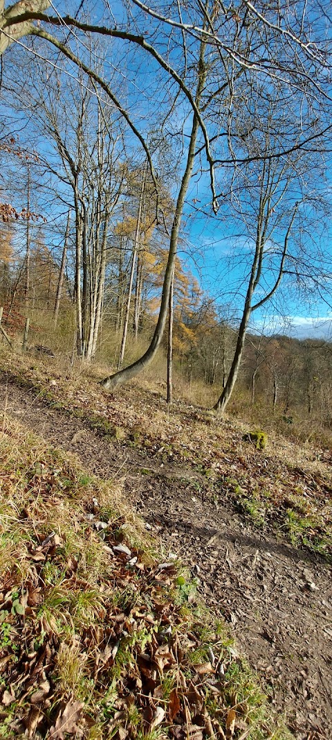 Warburg Nature Reserve Berkshire, Buckinghamshire and Oxfordshire Wildlife Trust