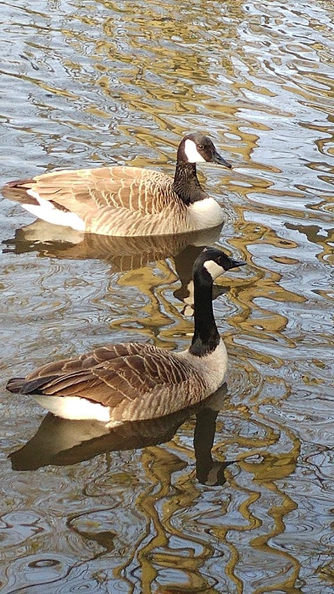 Clockhouse Gardens