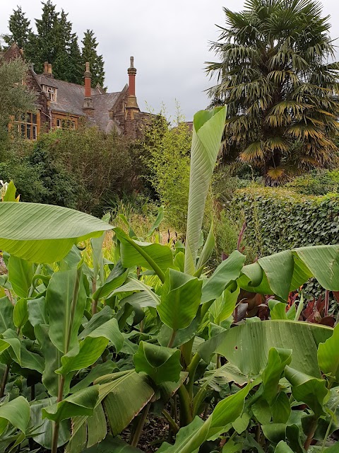 University of Bristol Botanic Garden