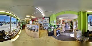 Northampton Reptile Centre