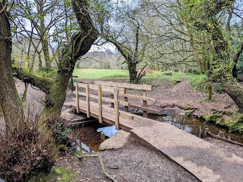 National Trust - Downs Banks