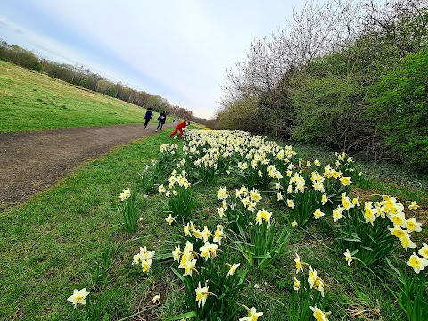 Hailes Quarry Park