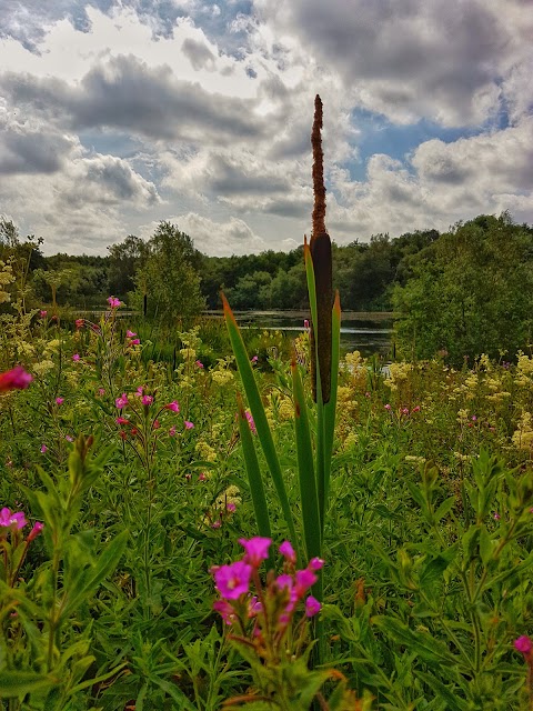 Saltersford Brook