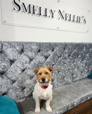 Smelly Nellie's Dog Grooming Boutique