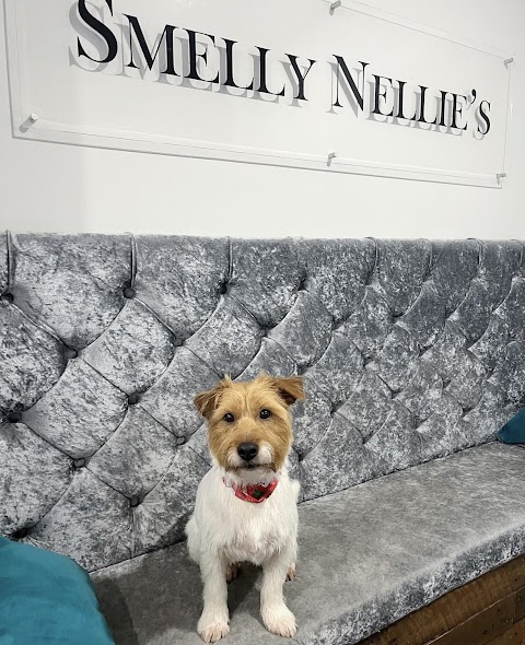 Smelly Nellie's Dog Grooming Boutique