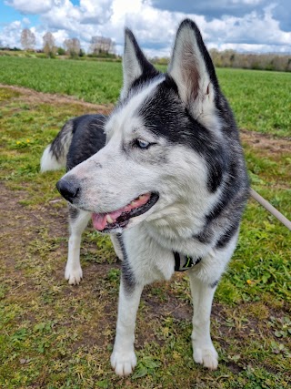 Walkies with Wendy Farnsfield