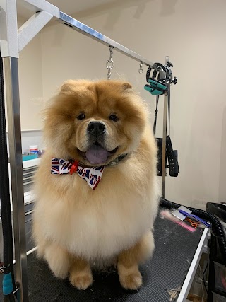 Tails and Tweed Pet Groomers