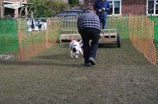 BBF Canine Athletics