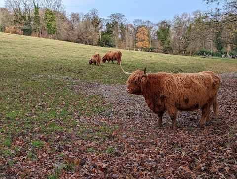 Pollok Country Park