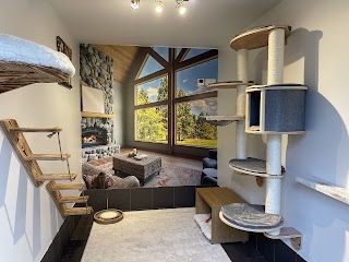 Acaster Boarding - Luxury Cattery