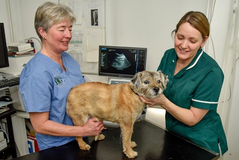 Hale Veterinary Group, Chippenham Hospital