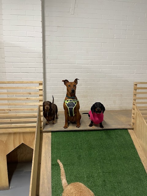 Winstons Doggy Day Care Leith