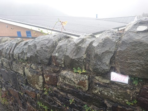 Pwll Nofio Cymuned Cymmer Community Swimming Pool