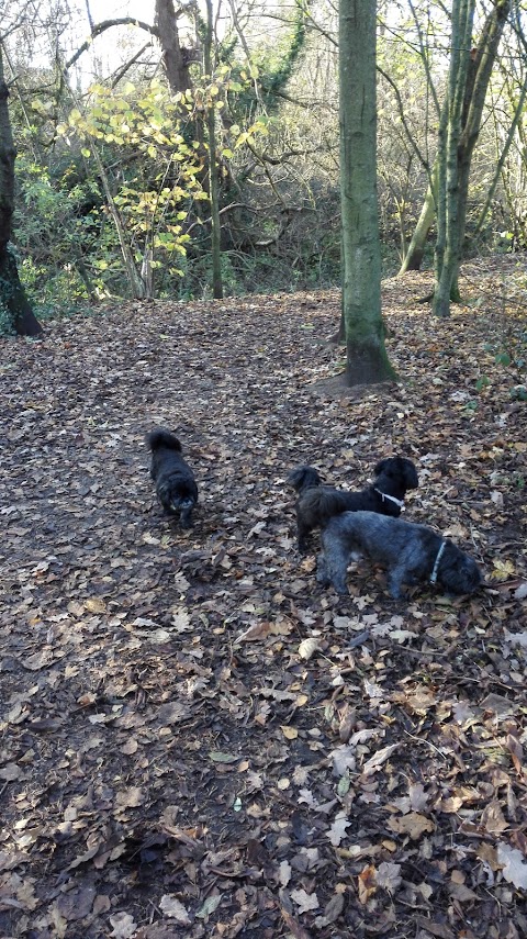 Caldy Nature Park