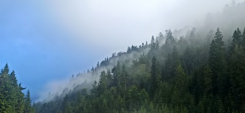 Садиба "Лісовик"