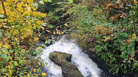 Rouken Glen Park