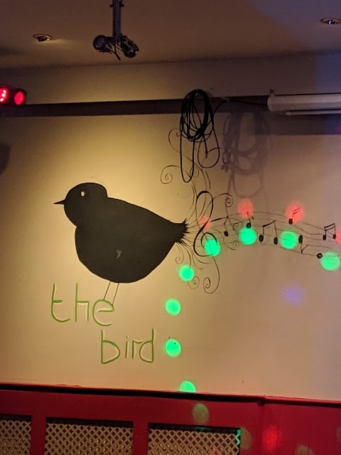 The Bird