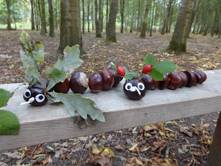 Marston Vale Forest School