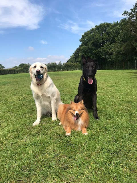 Happy Tails dog park Ledsham