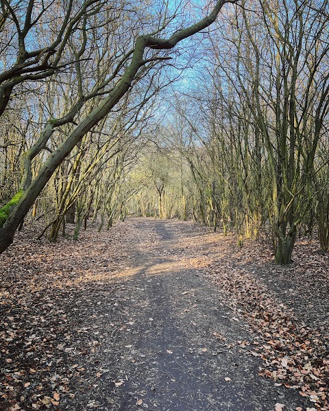 Dearne Valley Park