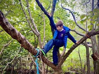 Forest Schooling UK