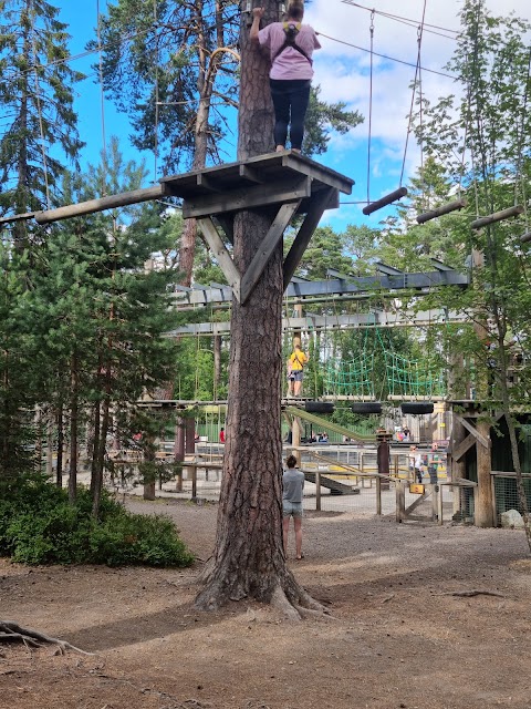 Landmark Forest Adventure Park