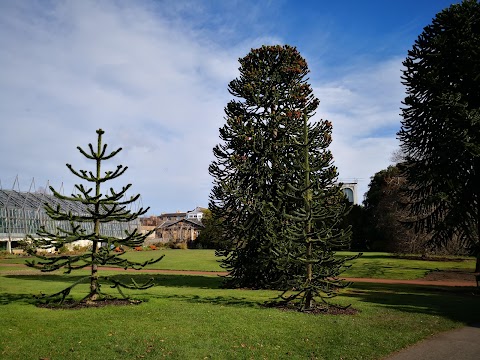 Royal Botanic Garden Edinburgh