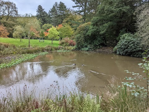 Whirlow Brook Park