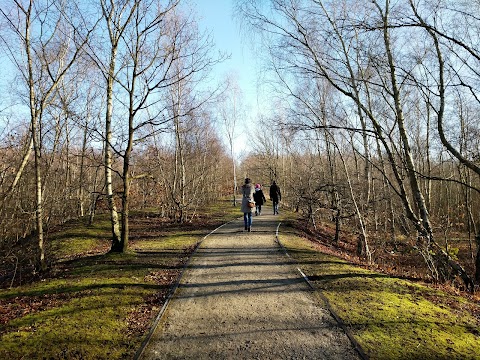 Beacon Wood Country Park