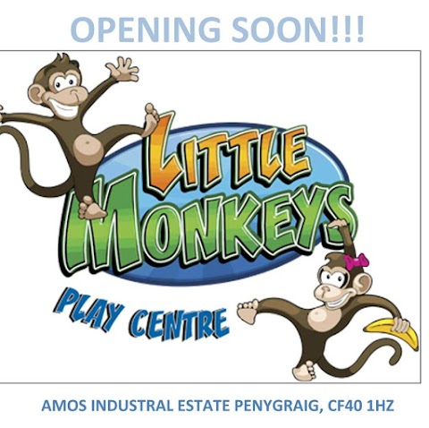 Little Monkeys Play Centre