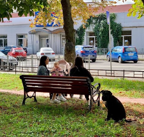 Сквер Сергія Половинка