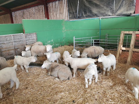 Hogshaw Farm & Wildlife Park