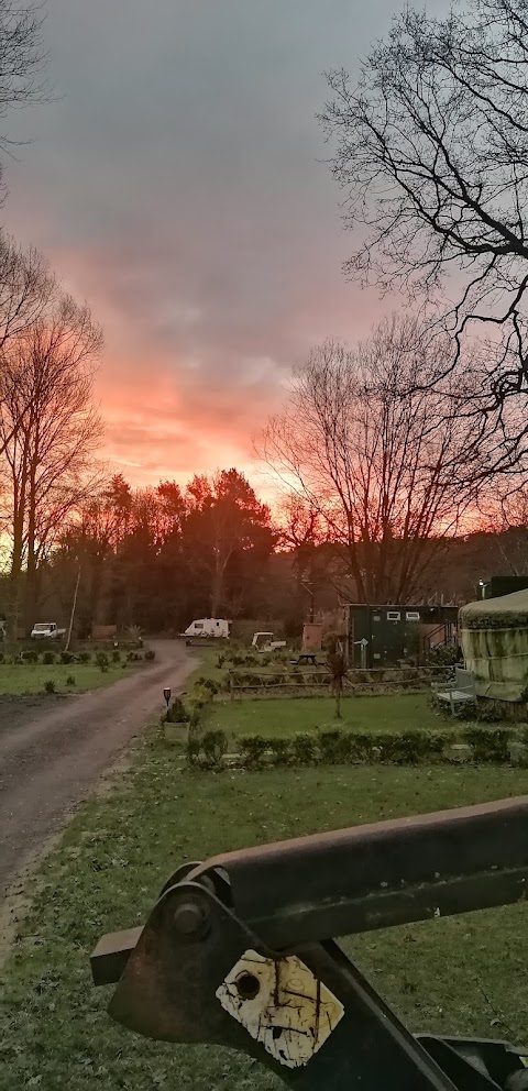 Peggy's pasture camping and glamping site