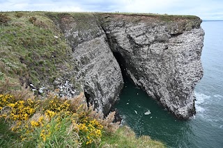 RSPB Scotland Fowlsheugh