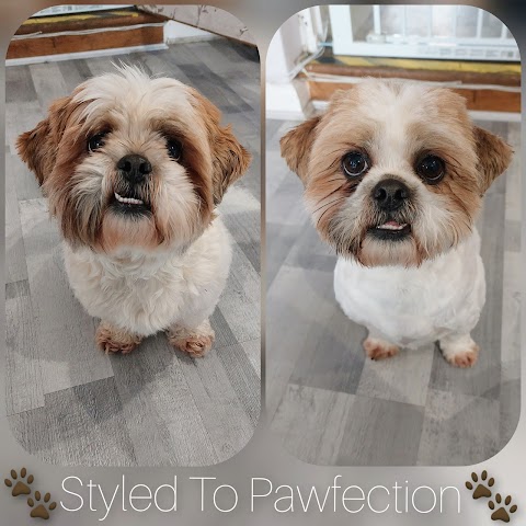 Styled to Pawfection