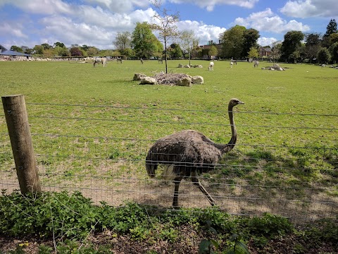 Marwell Zoo Science & Learning Centre