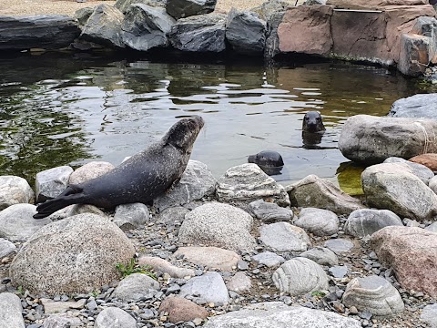 Exploris Aquarium