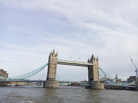 Thames River Tours