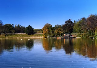 Highgate Men's Bathing Pond