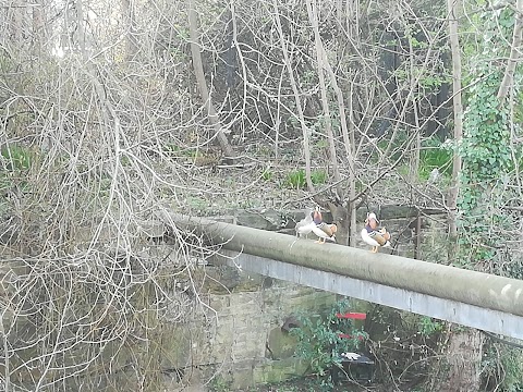 Heeley Pool and Gym