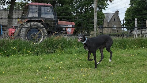 Barklands Secure Dog Walking